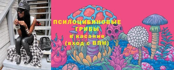 прущая мука Абаза