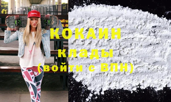хмурый Инсар