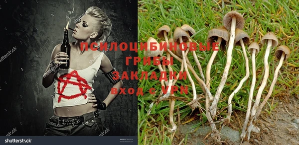 прущая мука Абаза