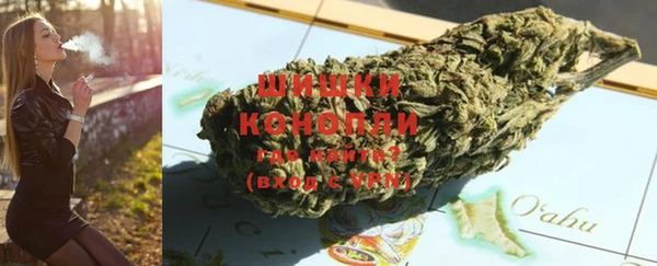 стафф Гусев