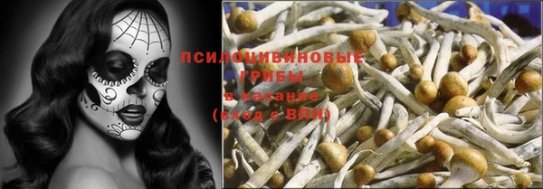 каннабис Гусиноозёрск