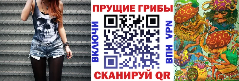 Псилоцибиновые грибы MAGIC MUSHROOMS  купить   Шенкурск 